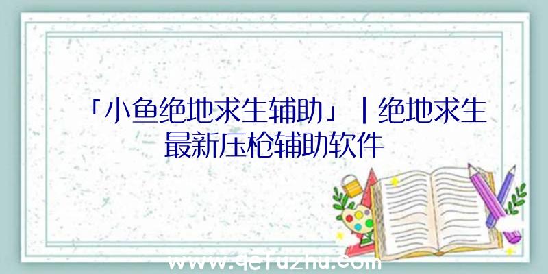 「小鱼绝地求生辅助」|绝地求生最新压枪辅助软件